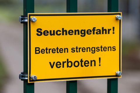 Die Vogelgrippe stürzt viele Reginoen in die Krise. Im Linumer Teichland müssen Helfer wegen der Tierseuche massenhaft tote Kran