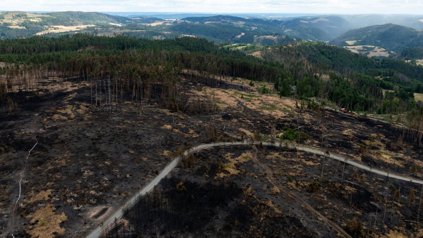 Private Waldbesitzer konnten nach dem Großbrand bislang noch keine Beihilfen beantragen, da die Ermittlungen zur Brandursache no Private Waldbesitzer konnten nach dem Großbrand bislang noch keine Beihilfen beantragen, da die Ermittlungen zur Brandursache no
