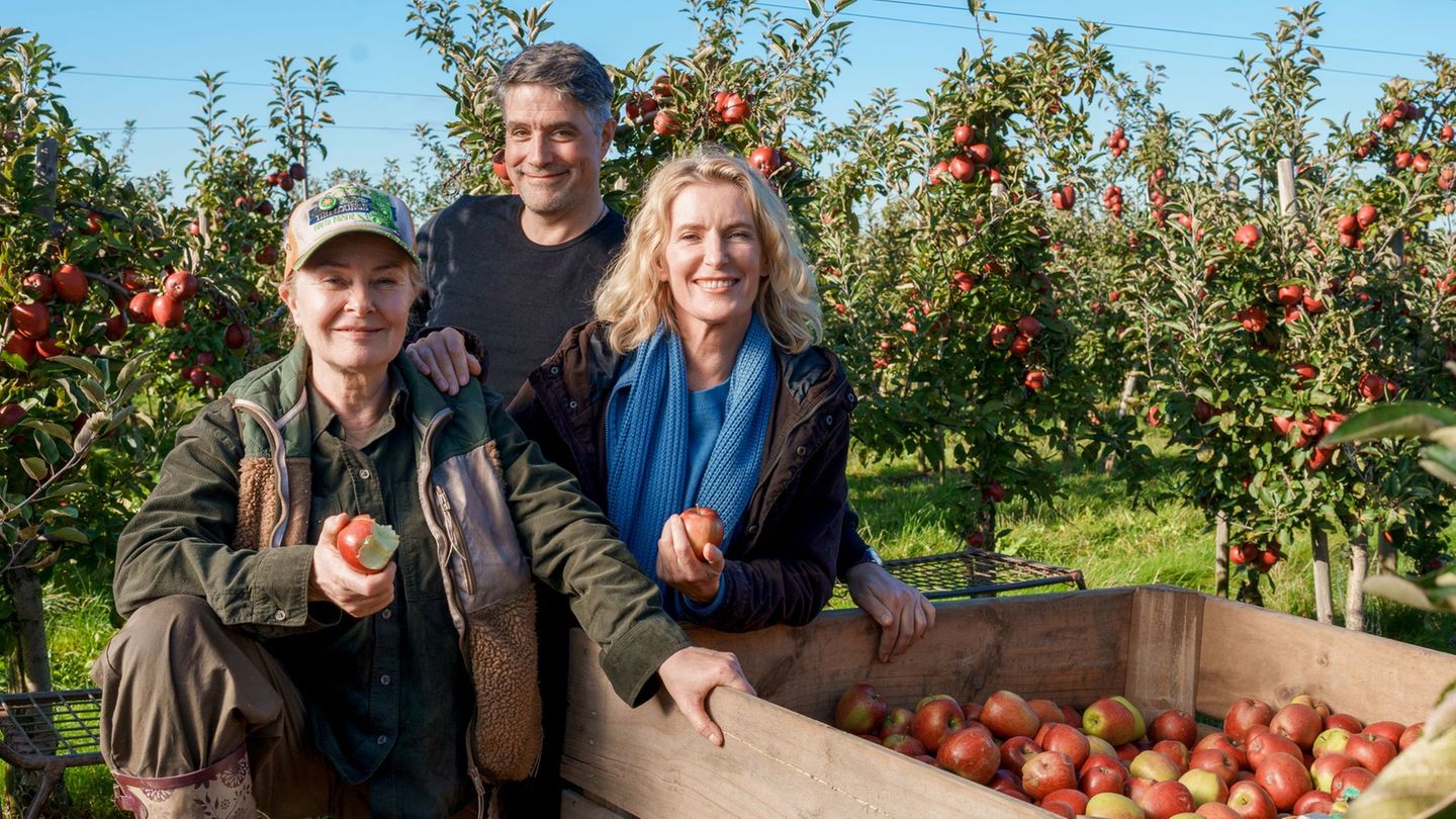 "Tatort" aus dem Norden: Furtwängler-"Tatort": Kopflos im Alten Land