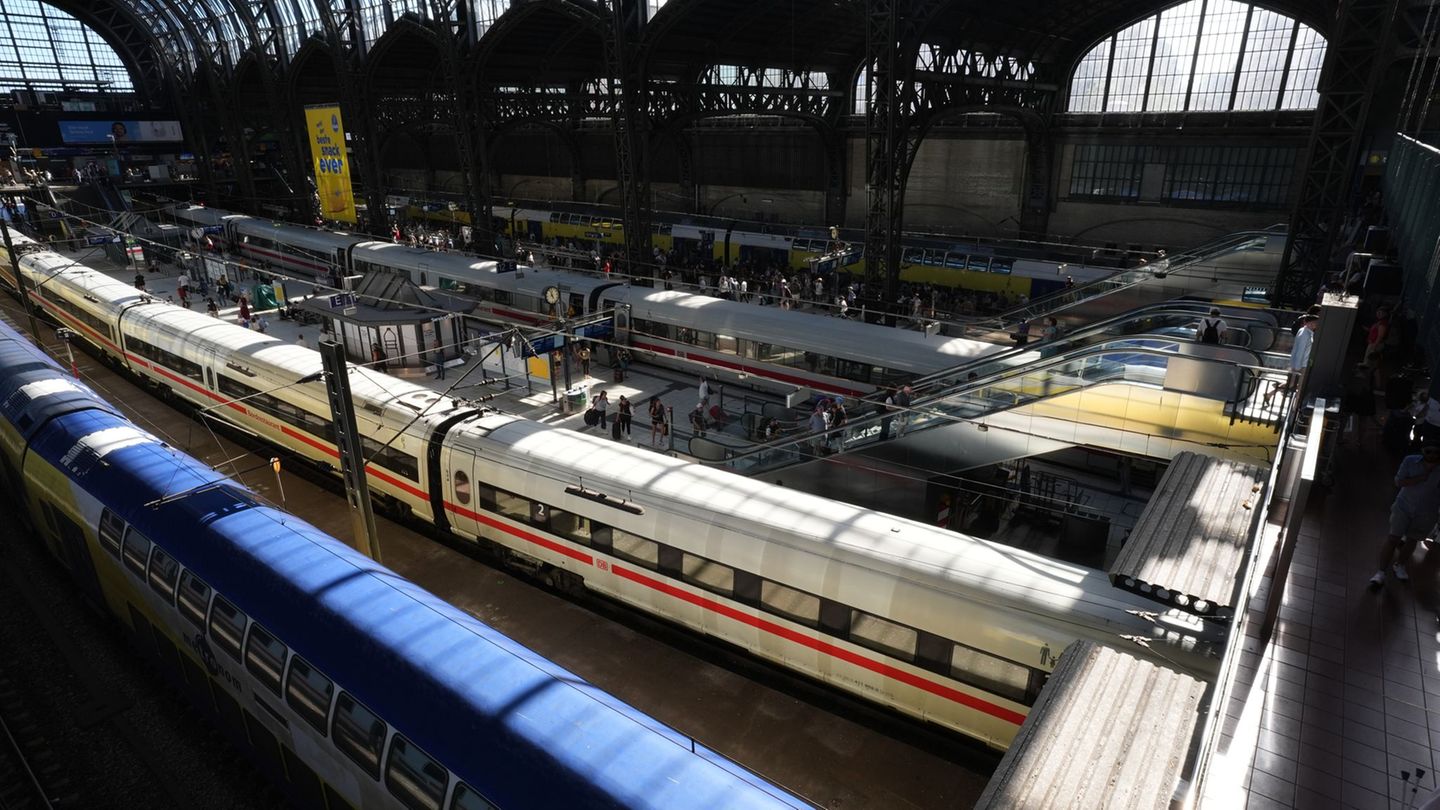 Im Hamburger Hauptbahnhof hat ein Flaschensammler einen Zug mit der Notbremse gestoppt. (Symbolbild) Foto: Marcus Brandt/dpa Im Hamburger Hauptbahnhof hat ein Flaschensammler einen Zug mit der Notbremse gestoppt. (Symbolbild) Foto: Marcus Brandt/dpa
