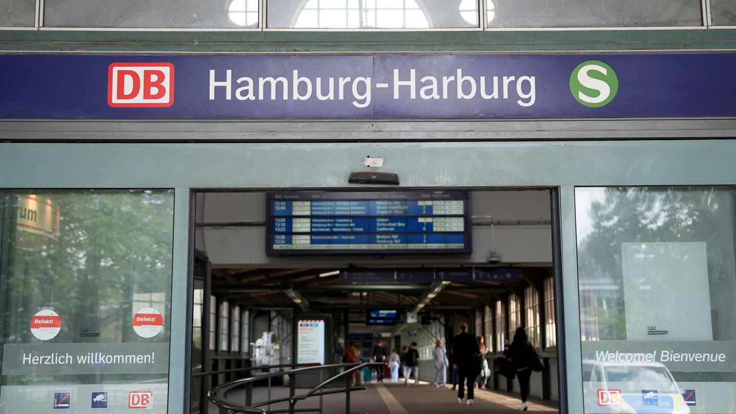 Reisende ziehen eine gestürzte Frau vor dem Zug in Harburg zurück auf den Bahnsteig. (Symbolbild) Foto: Marcus Brandt/dpa Reisende ziehen eine gestürzte Frau vor dem Zug in Harburg zurück auf den Bahnsteig. (Symbolbild) Foto: Marcus Brandt/dpa