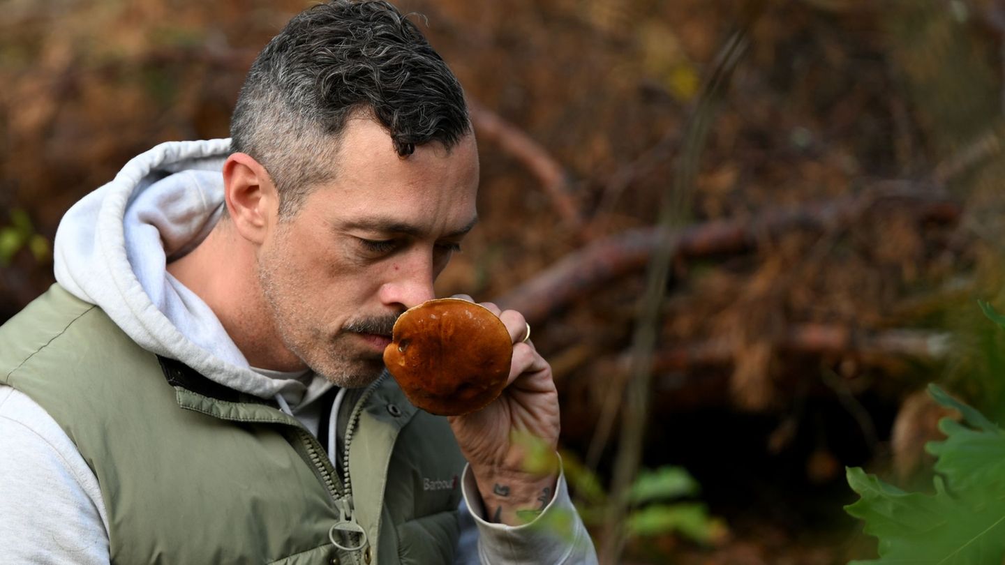Gesellschaft: Trendhobby Pilzesammeln: Der Wald als "bullshitfreie Zone"
