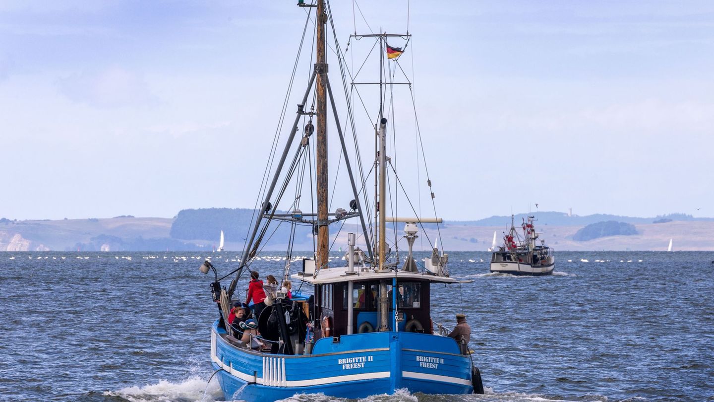 Die Fischer vertrauten darauf, dass die festgelegten Fangmengen nachhaltig seien. (Symbolbild) Foto: Jens Büttner/dpa Die Fischer vertrauten darauf, dass die festgelegten Fangmengen nachhaltig seien. (Symbolbild) Foto: Jens Büttner/dpa