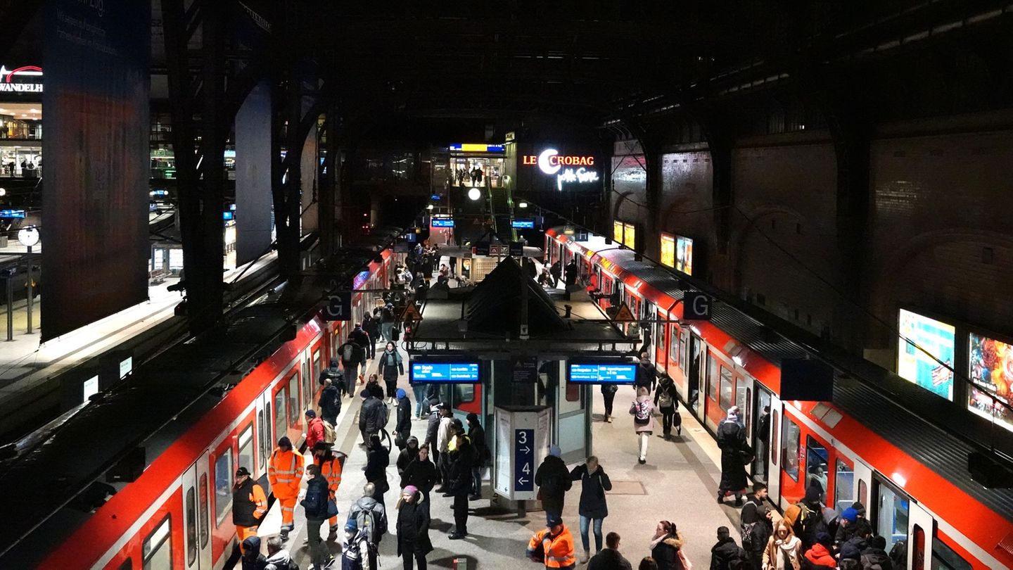 Auf einem S-Bahn-Gleis im Hauptbahnhof soll ein Betrunkener zwei Frauen sexuell belästigt haben. (Archivbild) Foto: Rabea Gruber Auf einem S-Bahn-Gleis im Hauptbahnhof soll ein Betrunkener zwei Frauen sexuell belästigt haben. (Archivbild) Foto: Rabea Gruber
