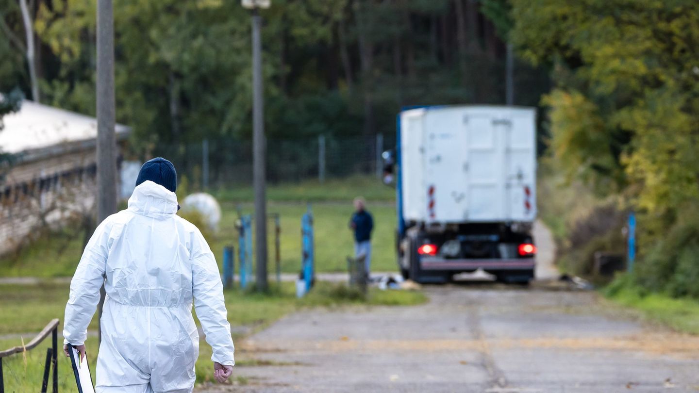 Experten in Schutzanzügen sind in Neuhardenberg im Einsatz, weil dort 80.000 Enten in einem Betrieb wegen der Vogelgrippe getöte Experten in Schutzanzügen sind in Neuhardenberg im Einsatz, weil dort 80.000 Enten in einem Betrieb wegen der Vogelgrippe getöte