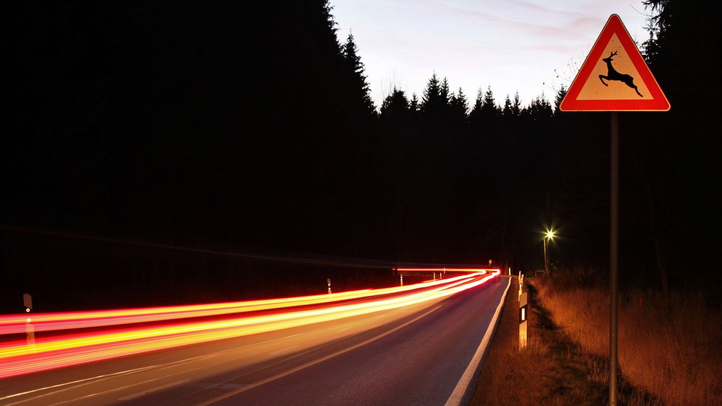 Ein Autofahrer ist bei Neubukow mit einem Hirsch zusammengestoßen. (Symbolbild) Foto: Jan Woitas/dpa/dpa-tmn Ein Autofahrer ist bei Neubukow mit einem Hirsch zusammengestoßen. (Symbolbild) Foto: Jan Woitas/dpa/dpa-tmn