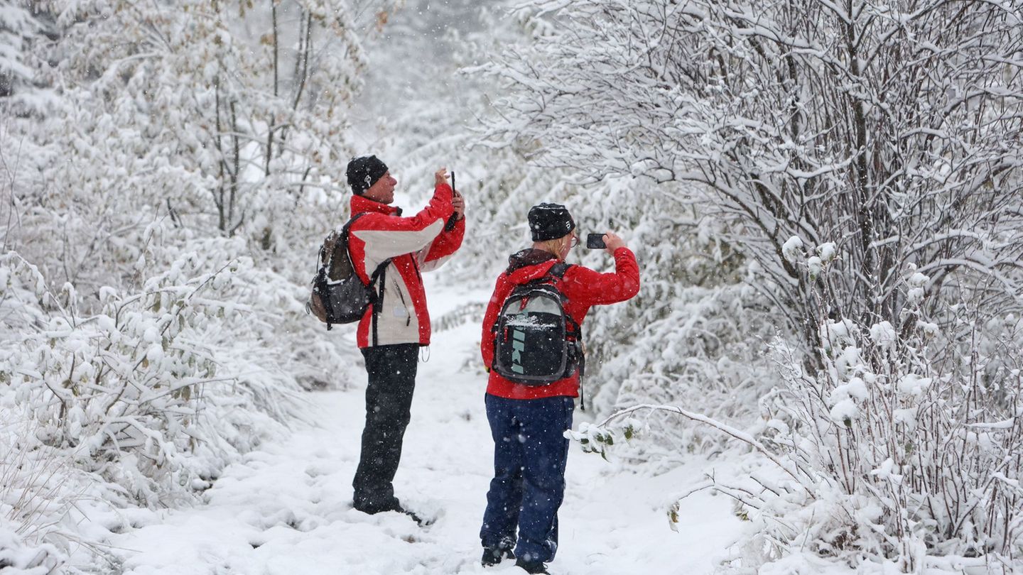 Die ersten Schneeflocken haben den Harz erreicht. Foto: Matthias Bein/dpa Die ersten Schneeflocken haben den Harz erreicht. Foto: Matthias Bein/dpa