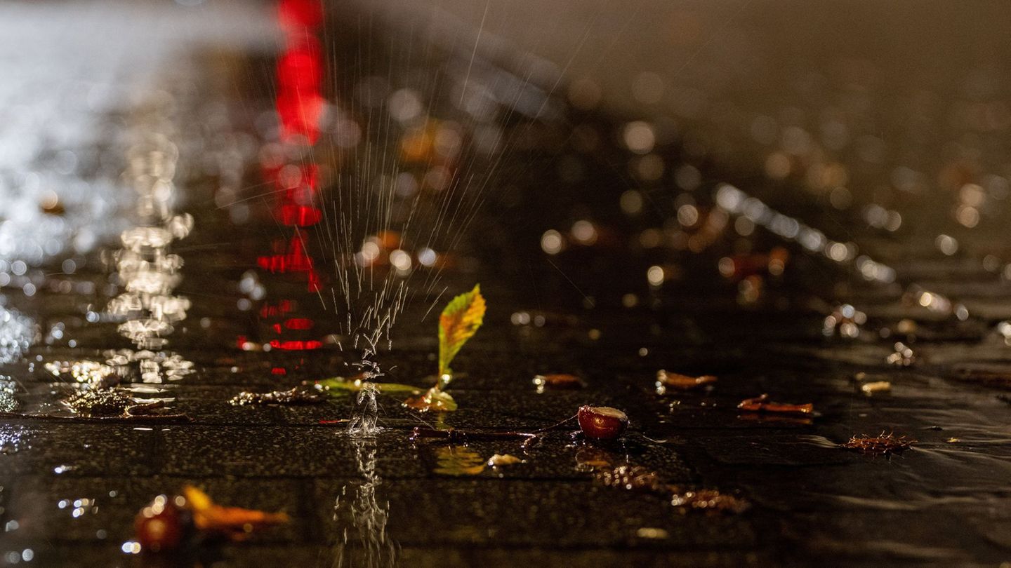 Das nass-kalte Herbstwetter setzt sich zu Wochenbeginn fort. (Archivbild) Foto: Harald Tittel/dpa Das nass-kalte Herbstwetter setzt sich zu Wochenbeginn fort. (Archivbild) Foto: Harald Tittel/dpa