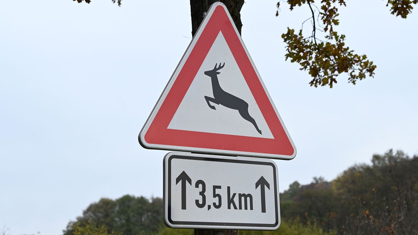 Besonders in der Dämmerung steigt das Risiko für Wildunfälle. (Symbolbild) Foto: Swen Pförtner/dpa Besonders in der Dämmerung steigt das Risiko für Wildunfälle. (Symbolbild) Foto: Swen Pförtner/dpa