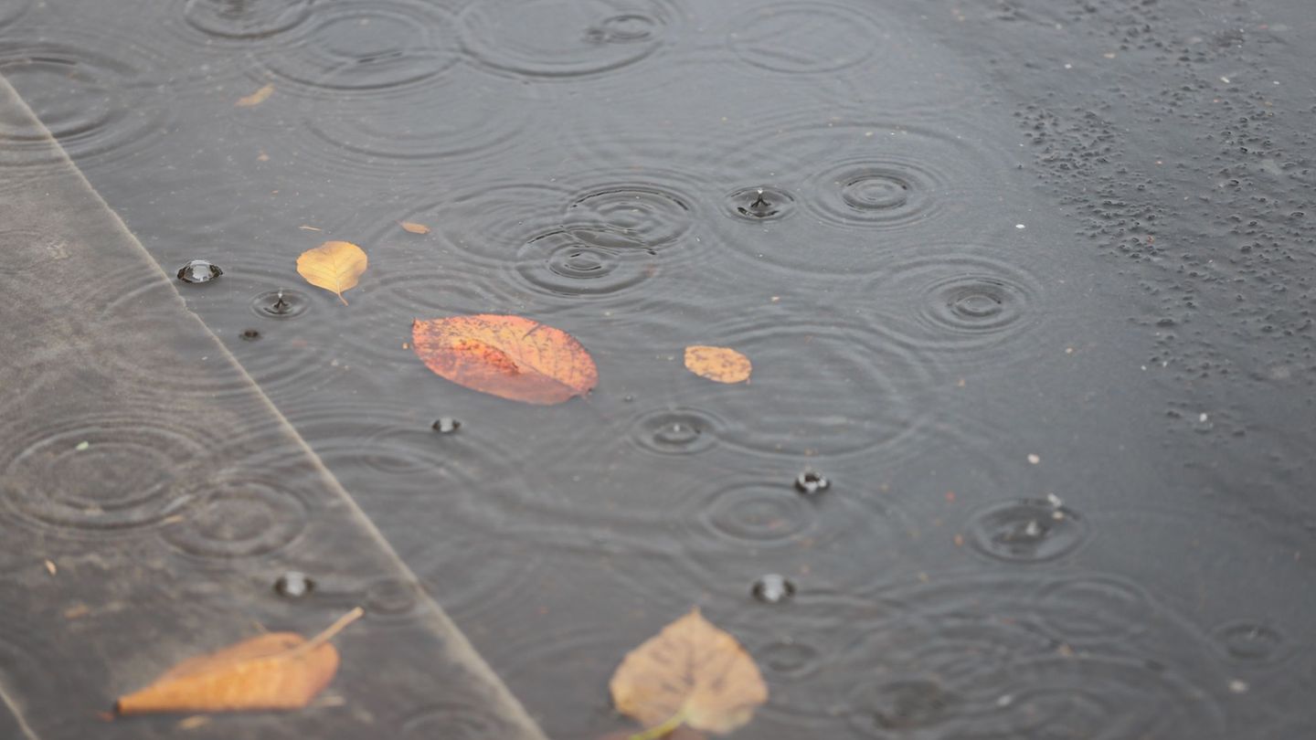 Regen tropft in eine Pfütze mit Herbstlaub. Foto: Sascha Thelen/dpa Regen tropft in eine Pfütze mit Herbstlaub. Foto: Sascha Thelen/dpa