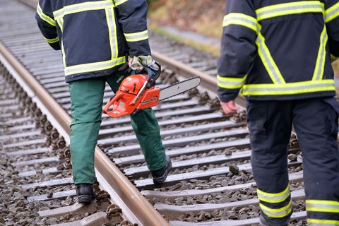 Ein umgestürzter Baum sorgte für Behinderungen auf der Bahnstrecke zwischen Norddeich Mole und Hannover. (Symbolbild) Foto: Jona