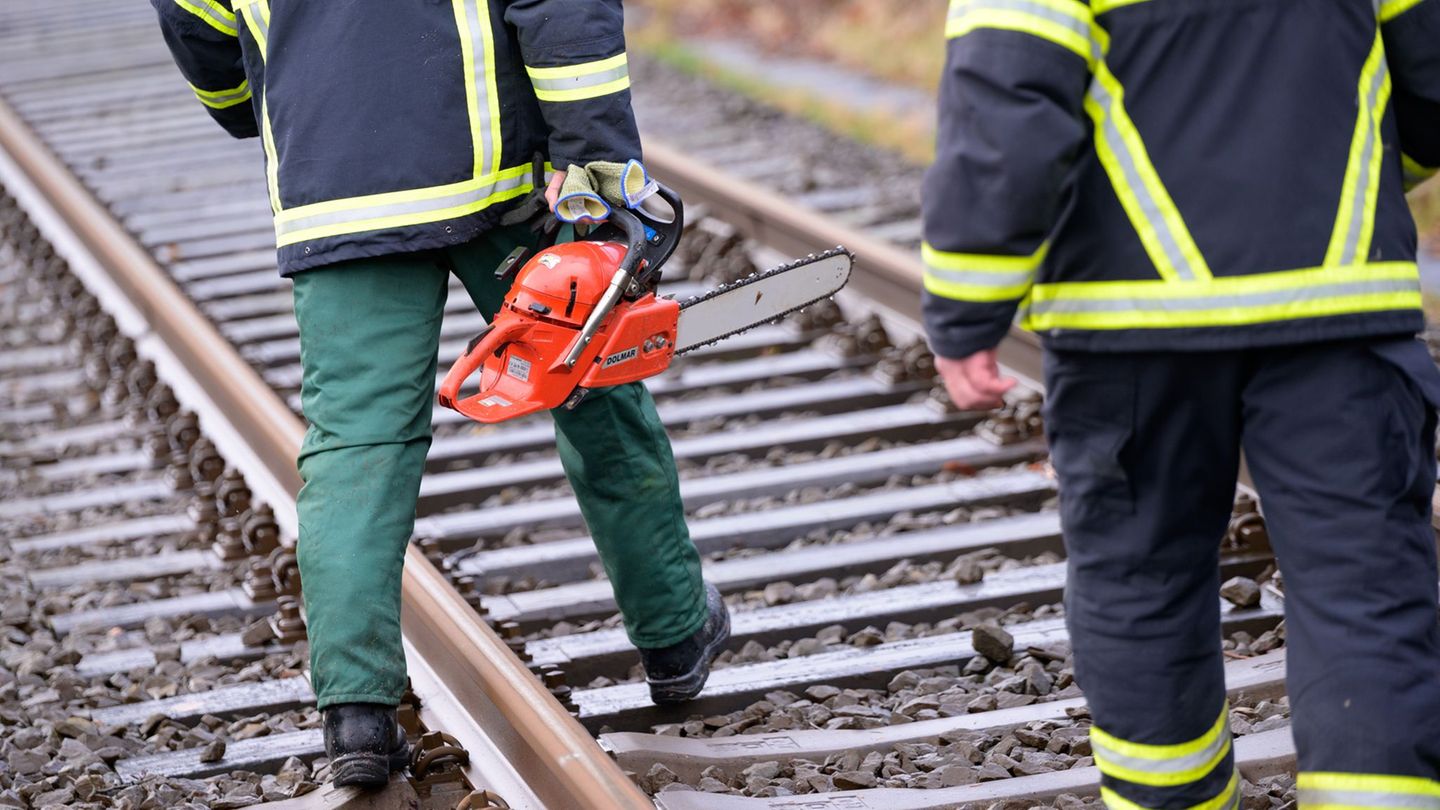 Ein umgestürzter Baum sorgte für Behinderungen auf der Bahnstrecke zwischen Norddeich Mole und Hannover. (Symbolbild) Foto: Jona Ein umgestürzter Baum sorgte für Behinderungen auf der Bahnstrecke zwischen Norddeich Mole und Hannover. (Symbolbild) Foto: Jona