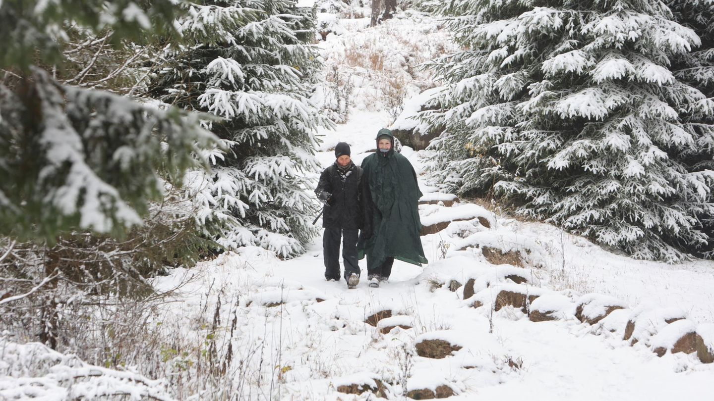 Die ersten Schneeflocken haben den Harz erreicht. Foto: Matthias Bein/dpa Die ersten Schneeflocken haben den Harz erreicht. Foto: Matthias Bein/dpa