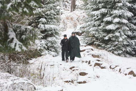 Die ersten Schneeflocken haben den Harz erreicht. Foto: Matthias Bein/dpa