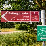 Etwas länger ist der Kattegattleden: 390 Kilometer, um genau zu sein. Der Weg besteht aus acht Etappen, fünf davon liegen in Halland und führen teilweise direkt an der Küste entlang. Man könnte am Ende Richtung Göteborg weiterradeln, muss man aber auch nicht