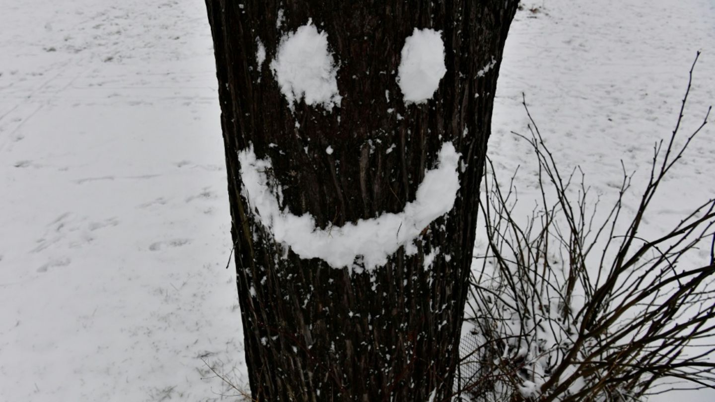 Lachendes Gesicht aus Schnee an einem Baum Lachendes Gesicht aus Schnee an einem Baum
