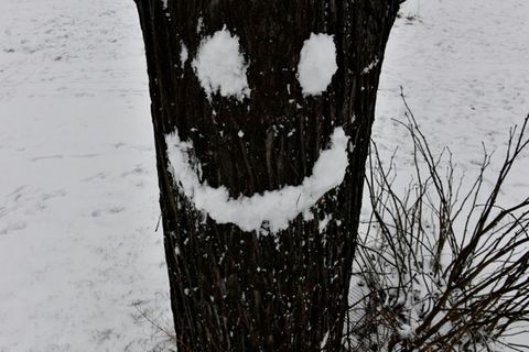 Lachendes Gesicht aus Schnee an einem Baum