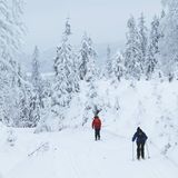 Herbstblues: Wintersport treiben