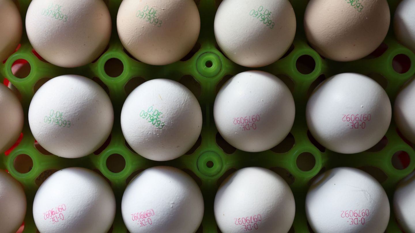 Eier könnten durch die Vogelgrippe teurer werden. (Symbolbild) Foto: Karl-Josef Hildenbrand/dpa Eier könnten durch die Vogelgrippe teurer werden. (Symbolbild) Foto: Karl-Josef Hildenbrand/dpa