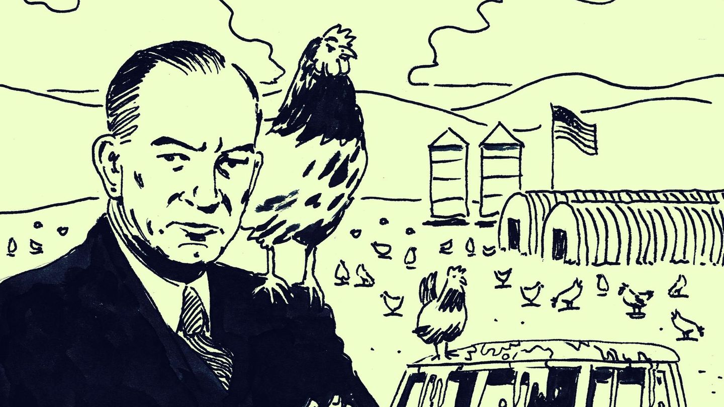 Senator Fulbright, unerwünschter VW: alles fürs heimische Huhn Senator Fulbright, unerwünschter VW: alles fürs heimische Huhn
