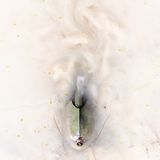 Ein Urzeitkrebs, welcher durch eine milchige, weiße Flüssigkeit schwimmt