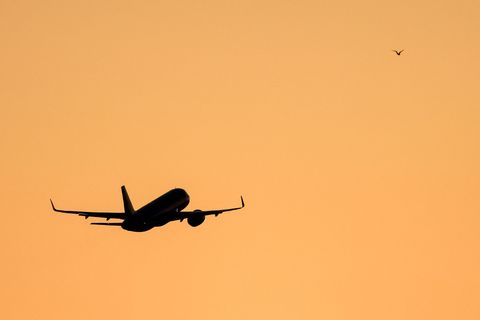 Die Polizei hat einen betrunkenen Passagier aus einem Flugzeug geholt. (Symbolbild) Foto: Jan Woitas/dpa