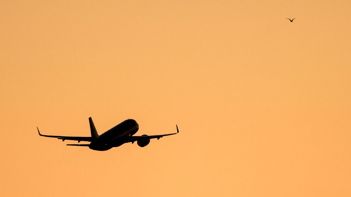 Die Polizei hat einen betrunkenen Passagier aus einem Flugzeug geholt. (Symbolbild) Foto: Jan Woitas/dpa Die Polizei hat einen betrunkenen Passagier aus einem Flugzeug geholt. (Symbolbild) Foto: Jan Woitas/dpa