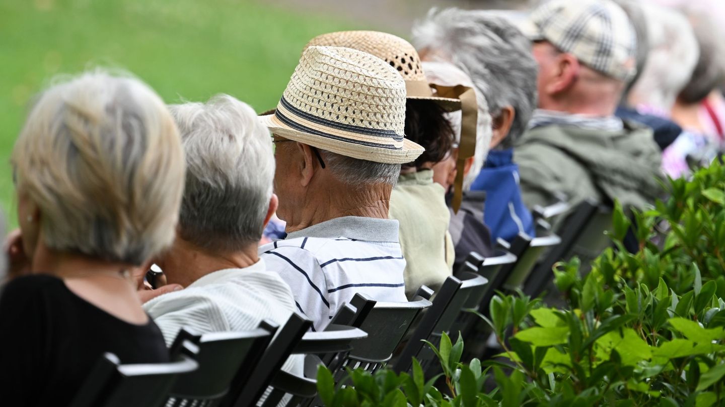Microcensus 2024: Younger pensioners are often still professionally active Microcensus 2024: Younger pensioners are often still professionally active