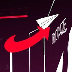 Ein Papierflieger mit einem Schatten in Form des AfD-Pfeiles, Neutralitätsgebot