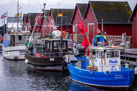 Trotz Sorgen um Dorsch und Hering: Für die deutschen Ostsee-Fischer bleibt fast alles beim Alten. (Symbolbild) Foto: Jens Büttne