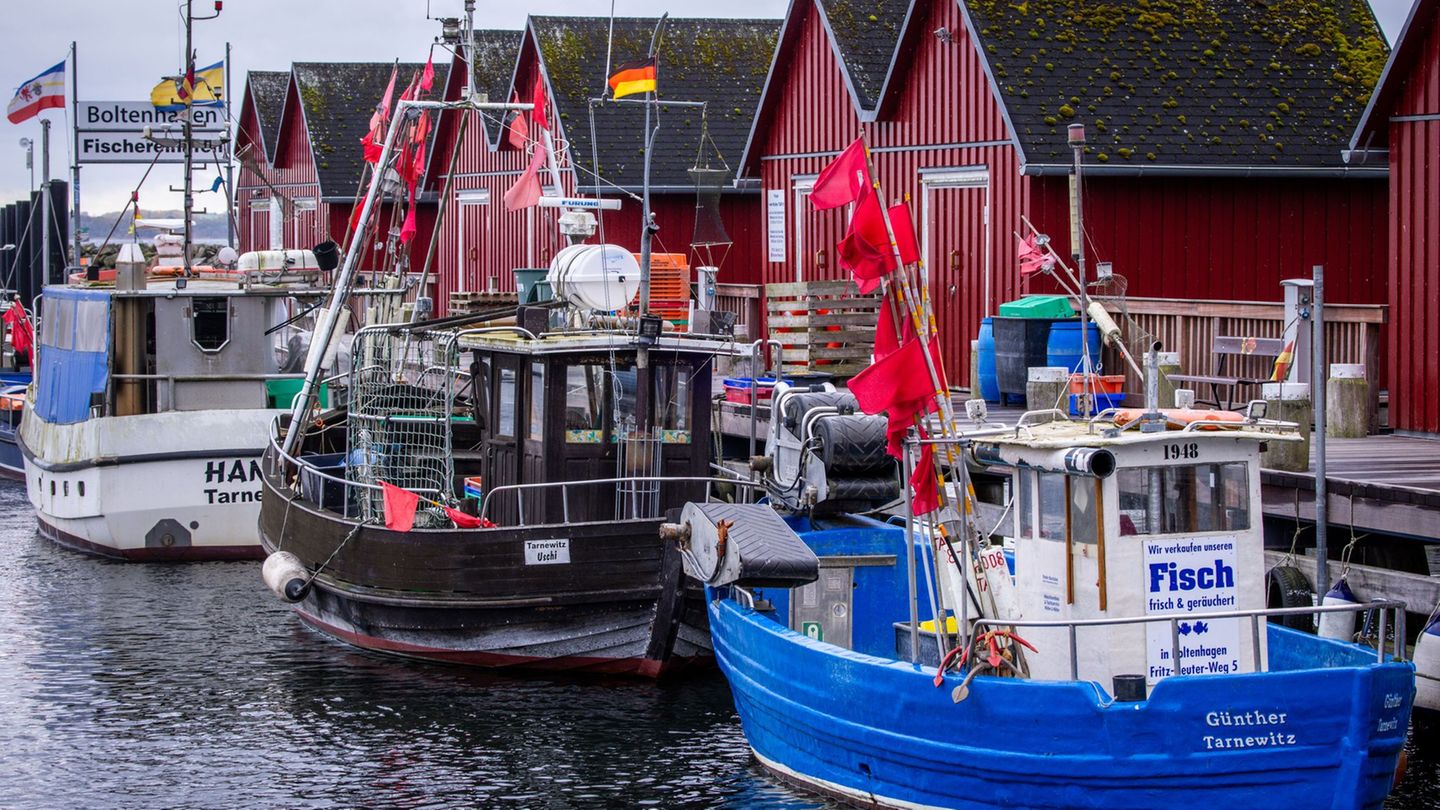 Fishing: Hardly any new restrictions for Baltic Sea fishermen Fishing: Hardly any new restrictions for Baltic Sea fishermen