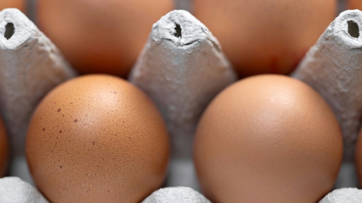 Packung mit Hühnereiern Packung mit Hühnereiern