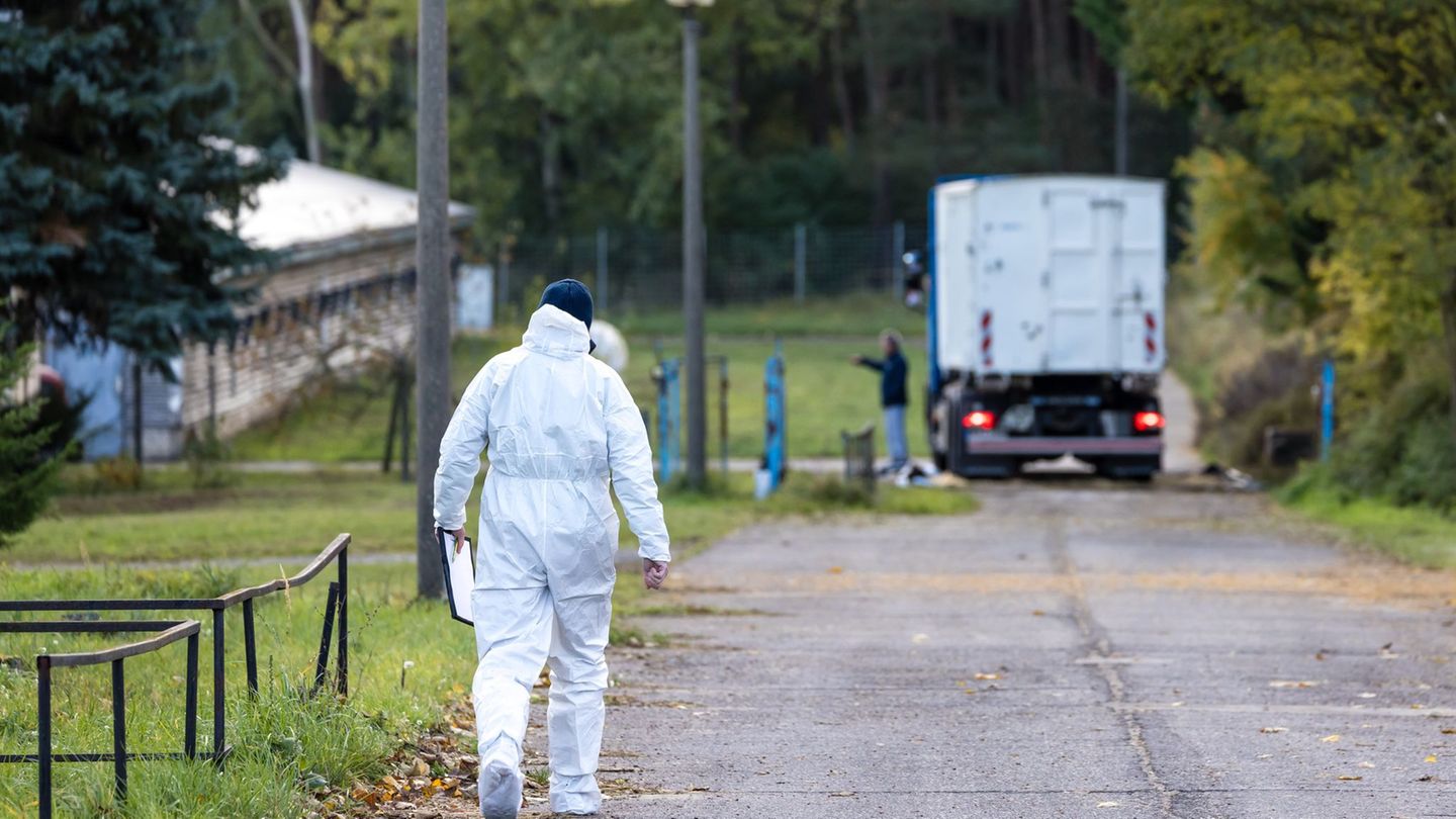 Wegen der Vogelgrippe wurden bereits Zehntausende Enten und Masthähnchen getötet. (Archivbild) Foto: Frank Hammerschmidt/dpa Wegen der Vogelgrippe wurden bereits Zehntausende Enten und Masthähnchen getötet. (Archivbild) Foto: Frank Hammerschmidt/dpa