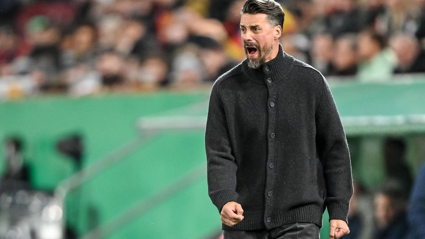 Der Frust muss raus: Sandro Wagner schreit am Spielfeldrand. Foto: Harry Langer/dpa Der Frust muss raus: Sandro Wagner schreit am Spielfeldrand. Foto: Harry Langer/dpa
