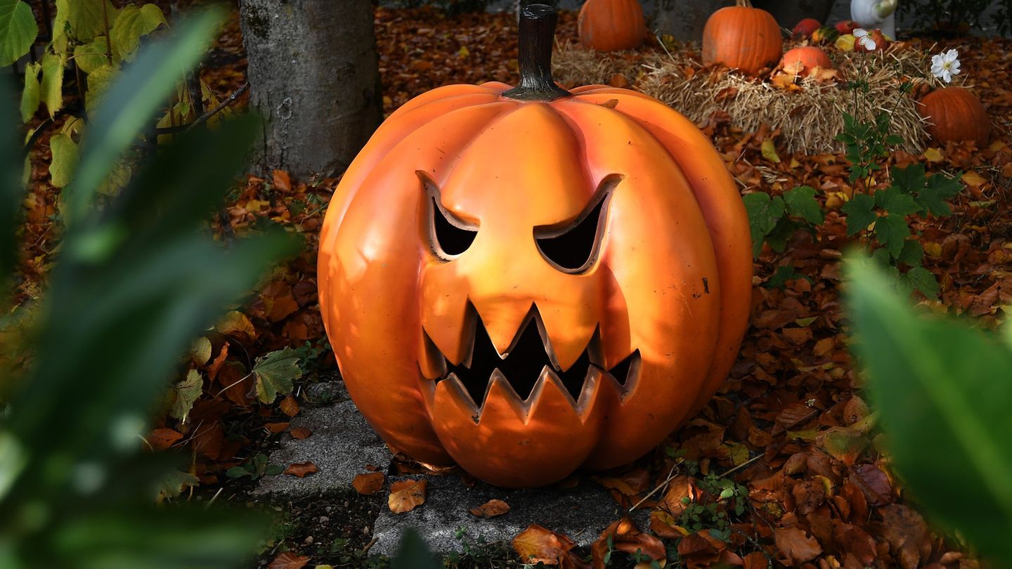 Der Handelsverband Berlin-Brandenburg schätzt, dass die Umsätze zu Halloween knapp das Vorjahresniveau erreichen. (Symbolbild) F Der Handelsverband Berlin-Brandenburg schätzt, dass die Umsätze zu Halloween knapp das Vorjahresniveau erreichen. (Symbolbild) F