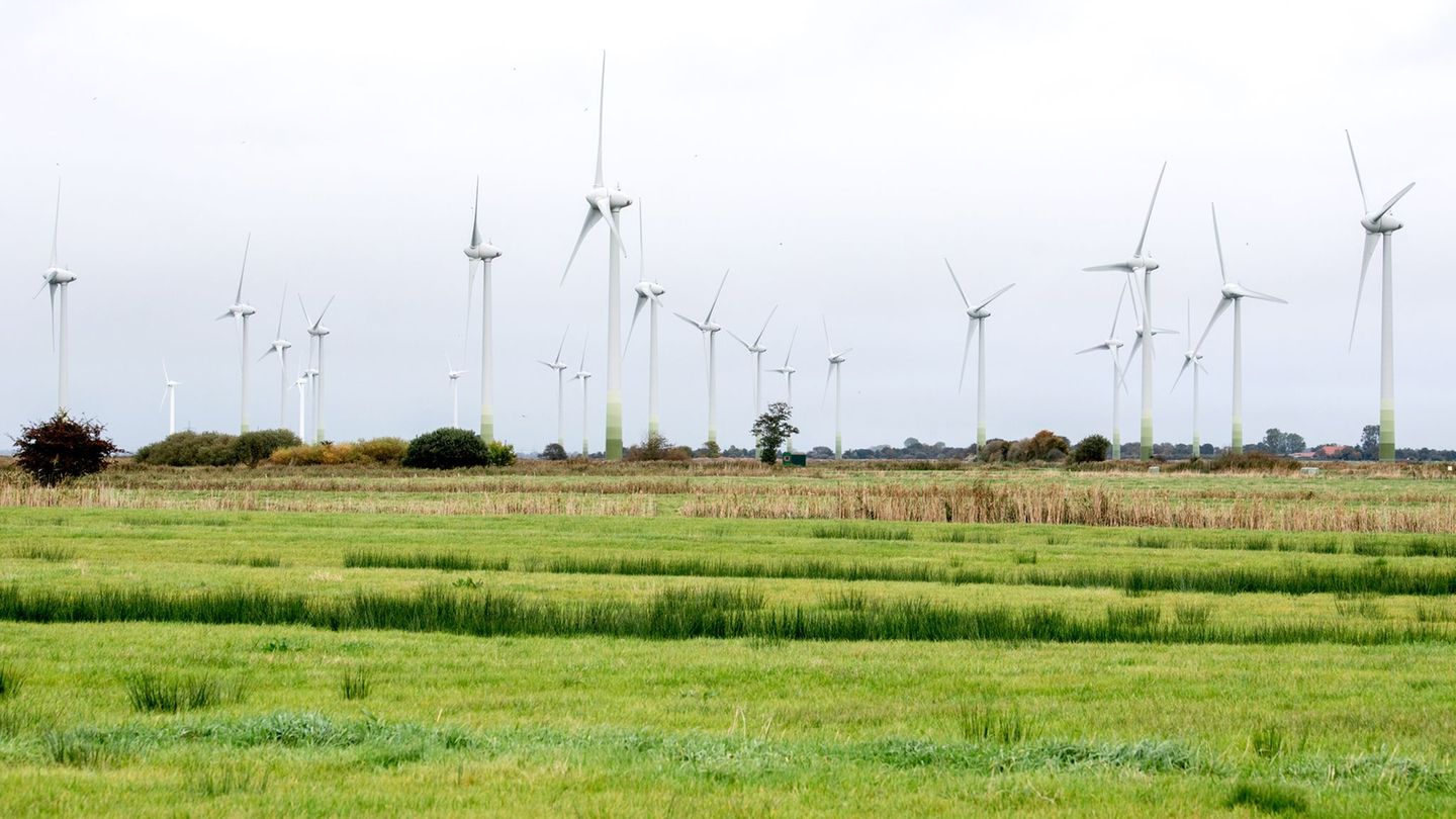 In Niedersachsen drehen sich immer mehr Windräder. (Archivbild) Foto: Hauke-Christian Dittrich/dpa In Niedersachsen drehen sich immer mehr Windräder. (Archivbild) Foto: Hauke-Christian Dittrich/dpa