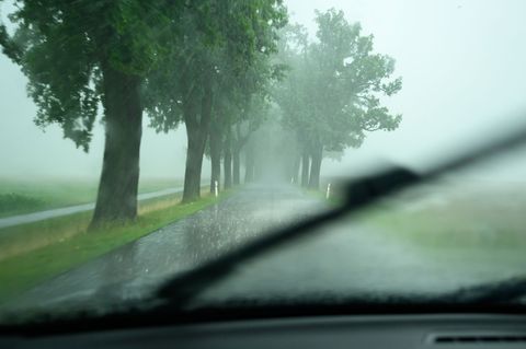 Seit Beginn der Statistik vor 30 Jahren verloren in Sachsen-Anhalt 1.774 Menschen bei Unfällen an Bäumen ihr Leben - die meisten