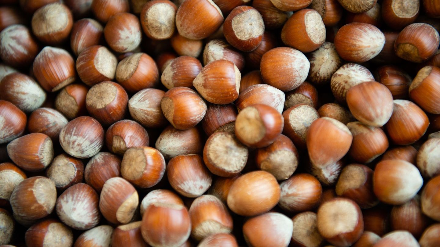 Schlechte Ernte: Weniger Haselnüsse aus Italien: Wird Nutella teurer?