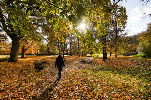 Kein Regenschirm nötig – ein sonniger Tag steht an. Foto: Thomas Warnack/dpa