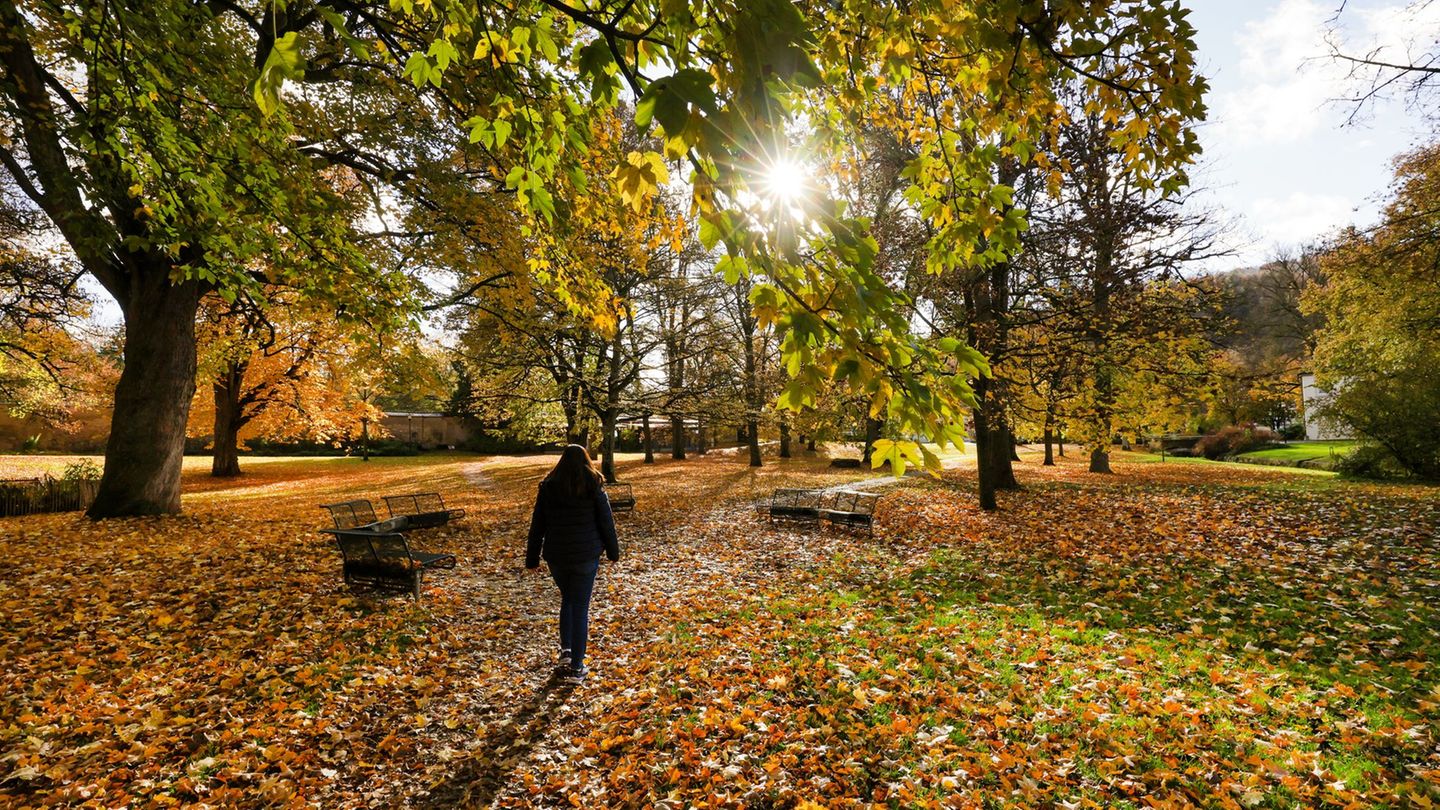 Kein Regenschirm nötig – ein sonniger Tag steht an. Foto: Thomas Warnack/dpa Kein Regenschirm nötig – ein sonniger Tag steht an. Foto: Thomas Warnack/dpa