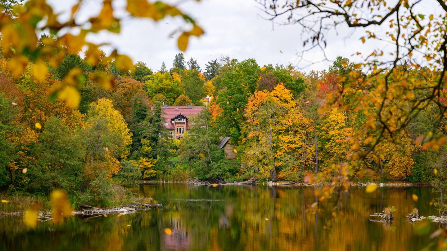 Am Mittwoch bleibt es in Berlin und Brandenburg weitgehend trocken. (Archivbild) Foto: Patrick Pleul/dpa Am Mittwoch bleibt es in Berlin und Brandenburg weitgehend trocken. (Archivbild) Foto: Patrick Pleul/dpa