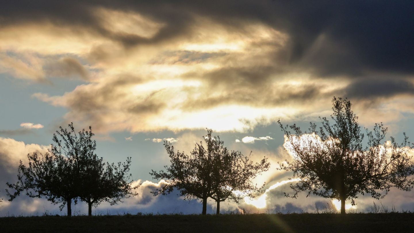 In der Südpfalz scheint am Mittwoch zeitweise die Sonne. (Archivbild) Foto: Thomas Warnack/dpa In der Südpfalz scheint am Mittwoch zeitweise die Sonne. (Archivbild) Foto: Thomas Warnack/dpa
