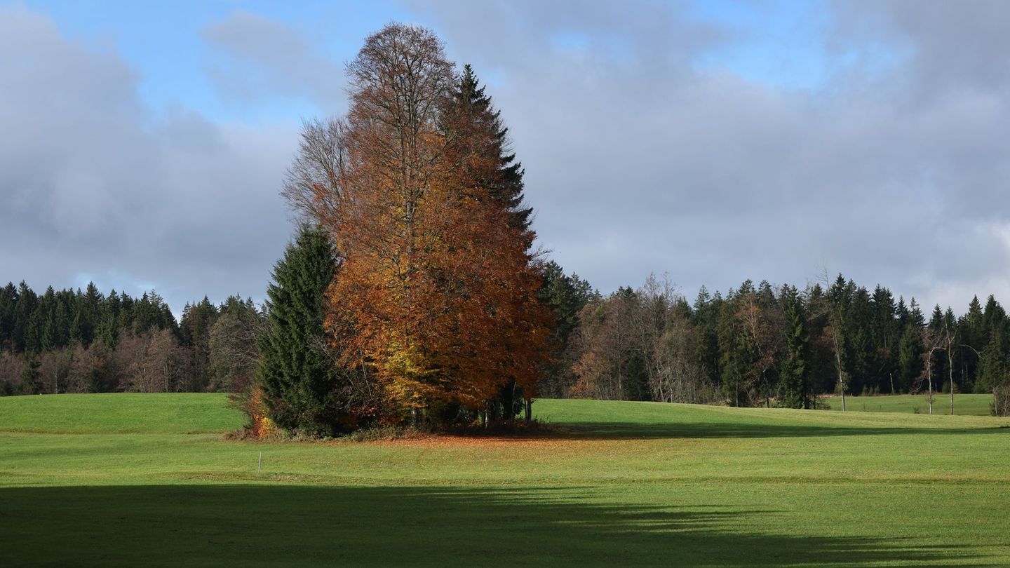 Der Herbst bringt für die Menschen in Bayern die nächsten Tage milde Temperaturen. (Archivbild) Foto: Karl-Josef Hildenbrand/dpa Der Herbst bringt für die Menschen in Bayern die nächsten Tage milde Temperaturen. (Archivbild) Foto: Karl-Josef Hildenbrand/dpa