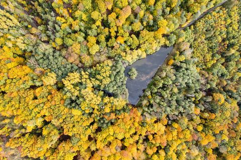 In Südhessen scheint zwischendurch die Sonne. (Archivbild) Foto: Boris Roessler/dpa