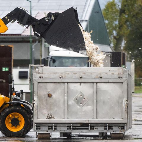 Vogelgrippe in Brandenburg Vogelgrippe in Brandenburg