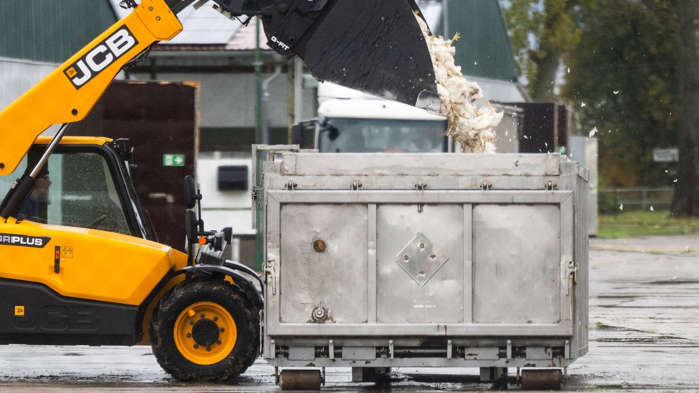 Vogelgrippe in Brandenburg Vogelgrippe in Brandenburg