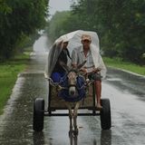 Dieses Paar hat gepackt, was es zu packen gab und gibt nun seinem Esel die Sporen