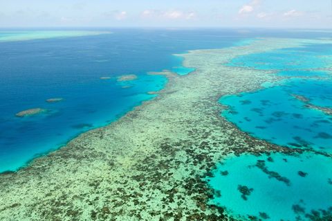 Das Great Barrier Reef in Australien. (Archivbild) Foto: Uncredited/Kyodo News via AP/dpa Das Great Barrier Reef in Australien. (Archivbild) Foto: Uncredited/Kyodo News via AP/dpa