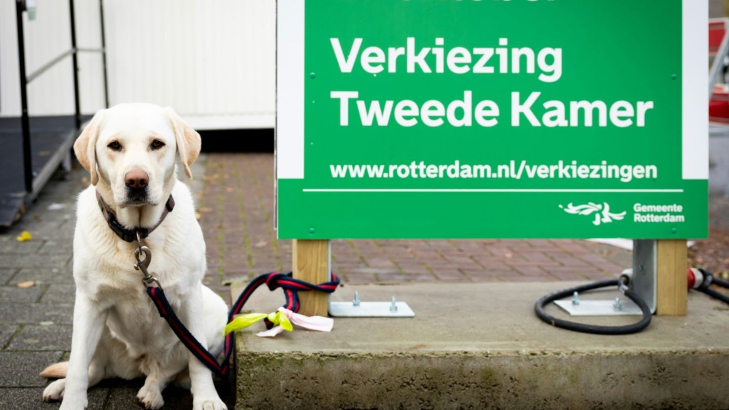 Warten auf das Herrchen