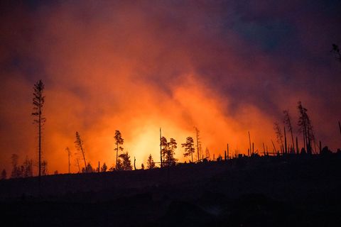 Waldbrände fachen mit ihren Emissionen die Erderwärmung zusätzlich an. (Illustraiton) Foto: Daniel Vogl/dpa Waldbrände fachen mit ihren Emissionen die Erderwärmung zusätzlich an. (Illustraiton) Foto: Daniel Vogl/dpa